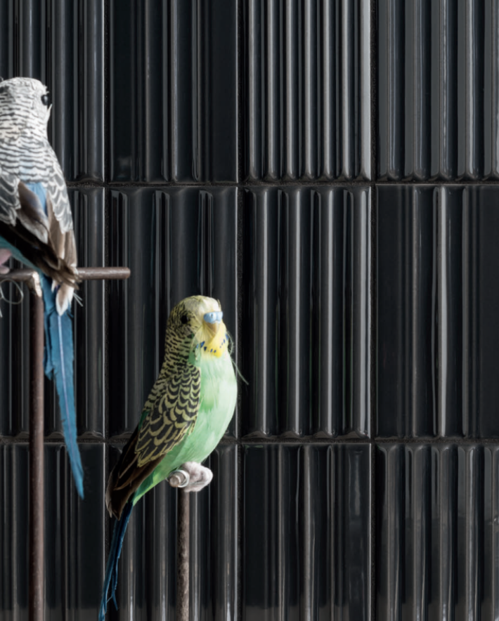 41 ZERO 42 - ΠΛΑΚΑΚΙ WIGWAG BLACK 7,5x15cm